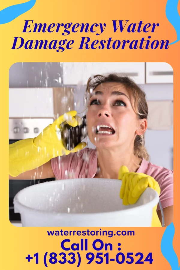 Emergency Water Damage Restoration in Hope, IN