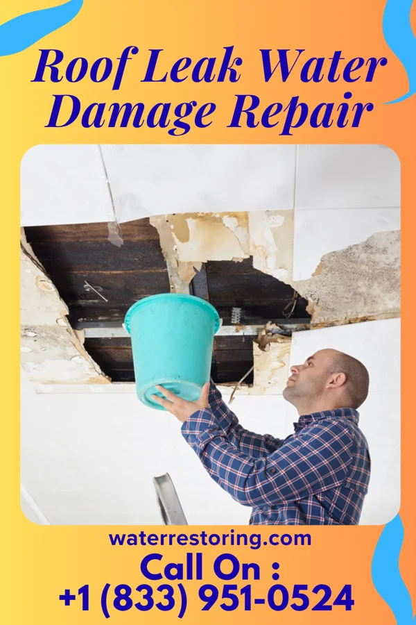 Roof Leak Water Damage Repair in Hope, IN