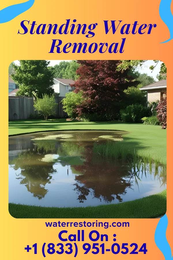 Standing Water Removal in Hope, IN